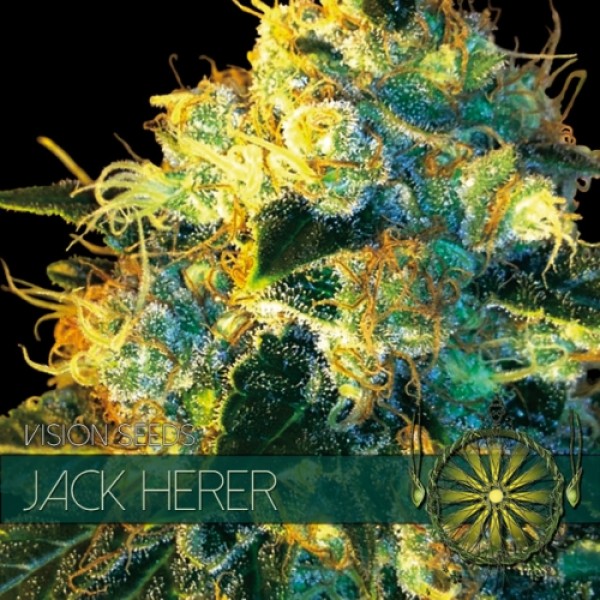 Jack Herer Feminised Seeds - 10